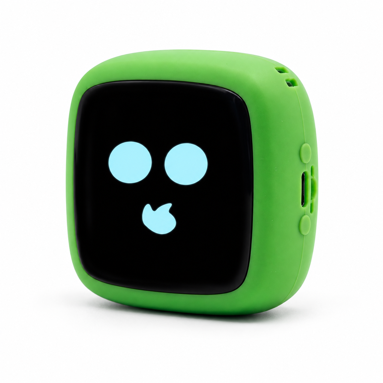 Portable Companion